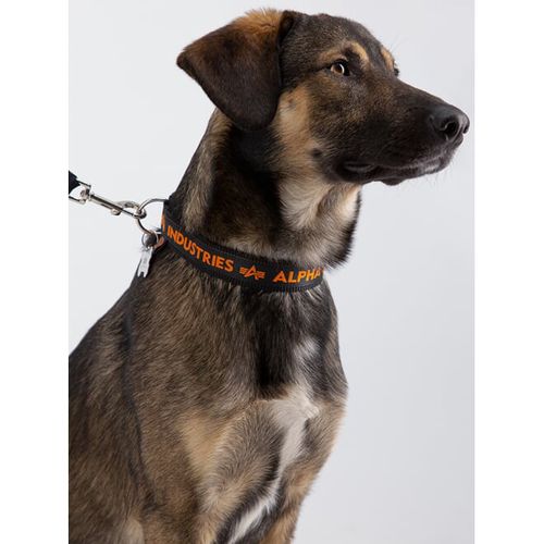 Alpha Industries Obojek  AI Dog-Tag Collar černá | oranžová M