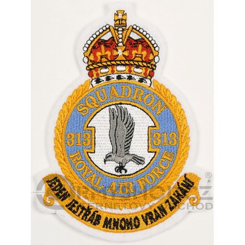 Nášivka: RAF 313. peruť