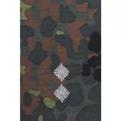 Bundeswehr nárameník BW OBERLEUTNANT FLECKTARN / stříbrné vyšití