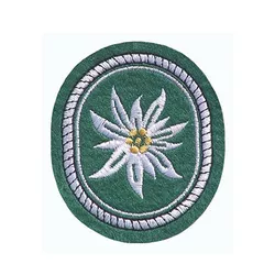 Bundeswehr nášivka alpská protěž