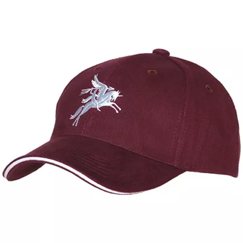 FOSTEX čepice baseball PEGASUS VÍNOVÁ