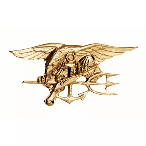 ROTHCO odznak NAVY SEALS ZLATÝ