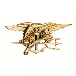 ROTHCO odznak NAVY SEALS ZLATÝ