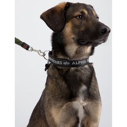 Alpha Industries Obojek  AI Dog-Tag Collar černá | šedá XS